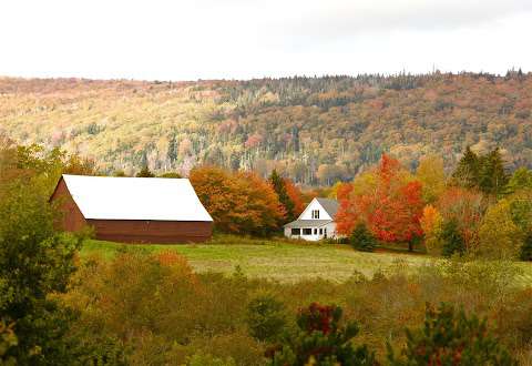 Wildflower Cottage Insider Guide